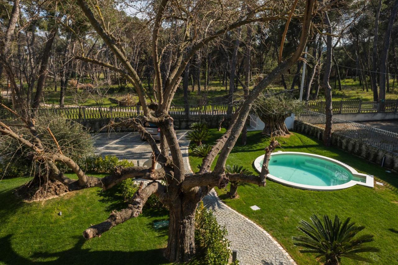 Luxury La Riserva Dannunziana Pescara